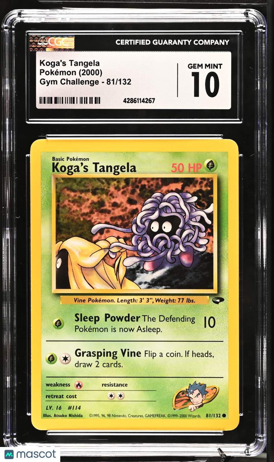 tangela pokemon card value 1999 tangela pokemon card value TANGELA CARD #114 POKEMON TRADING CARD COLLECTION TOPPS 1999-2000