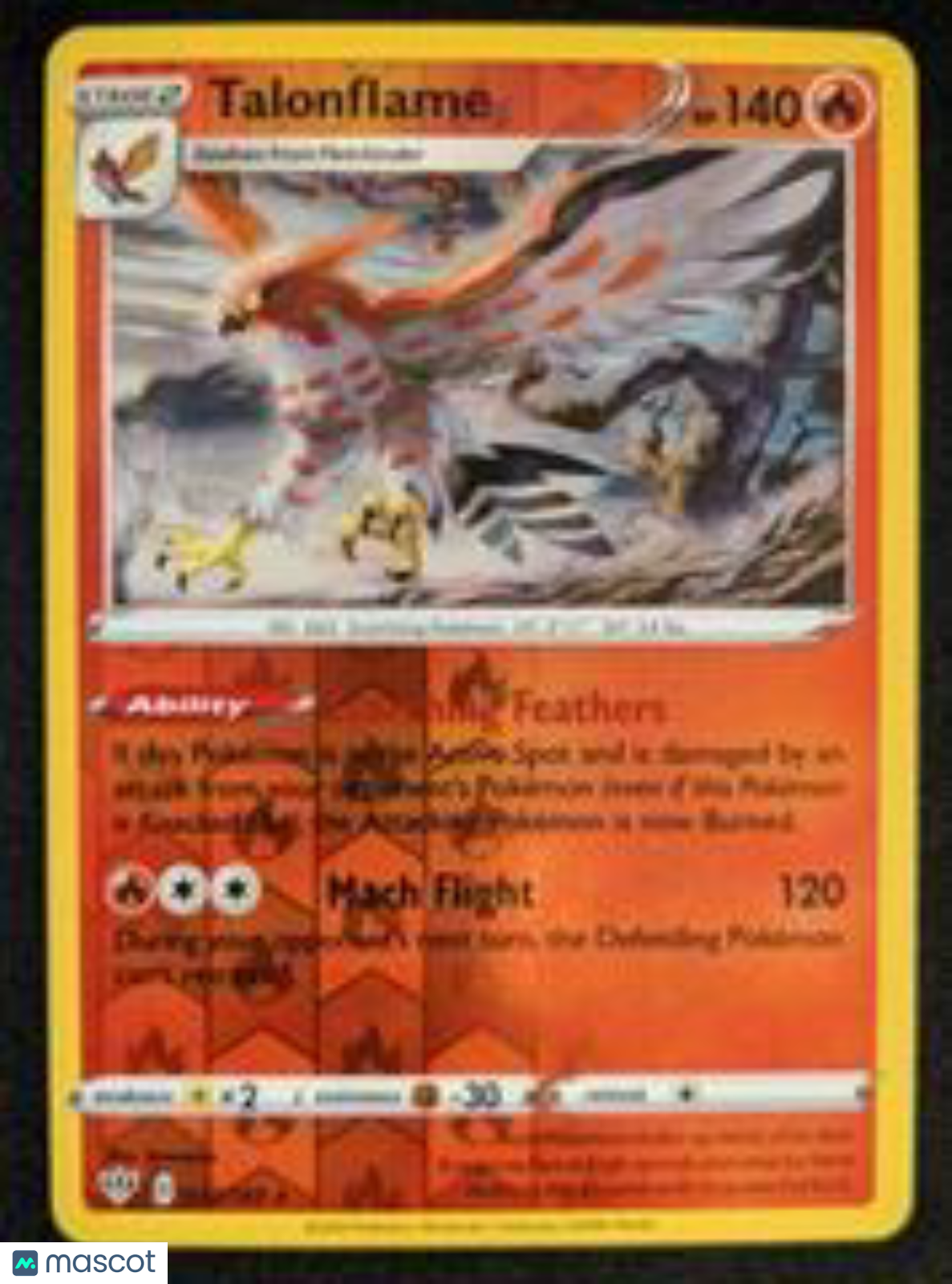 PokéNOLA Collectibles 