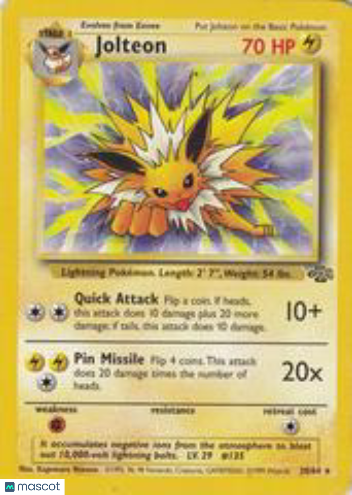 PokéNOLA Collectibles 