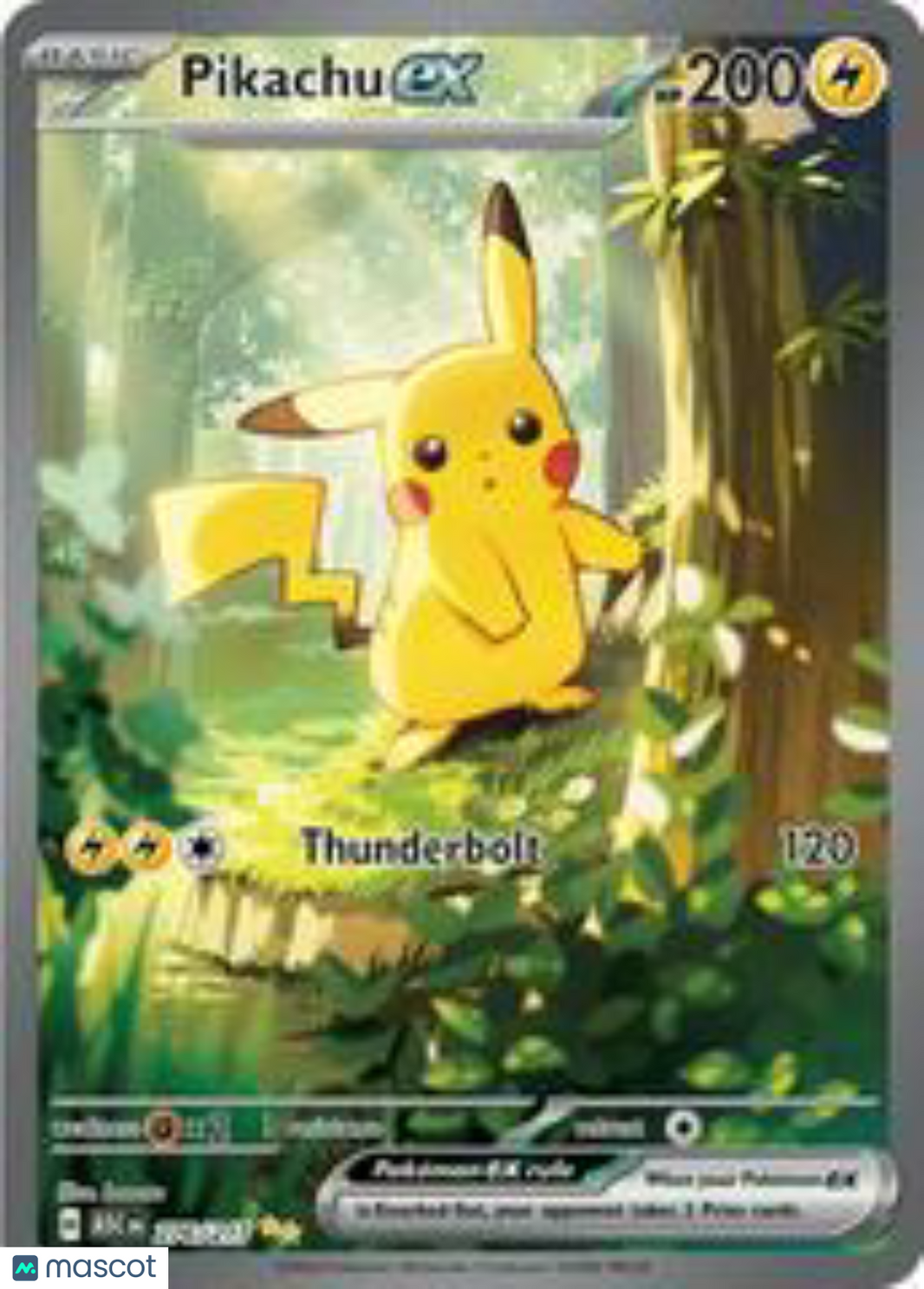 Graded Pokemon TCG Slabs  PokNOLA Collectibles