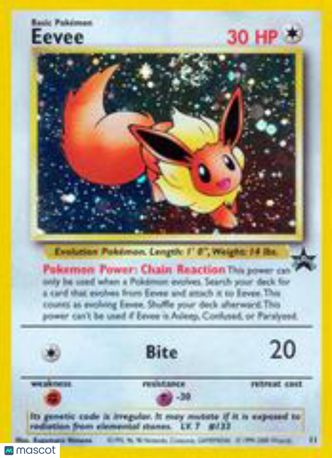 PokéNOLA Collectibles 