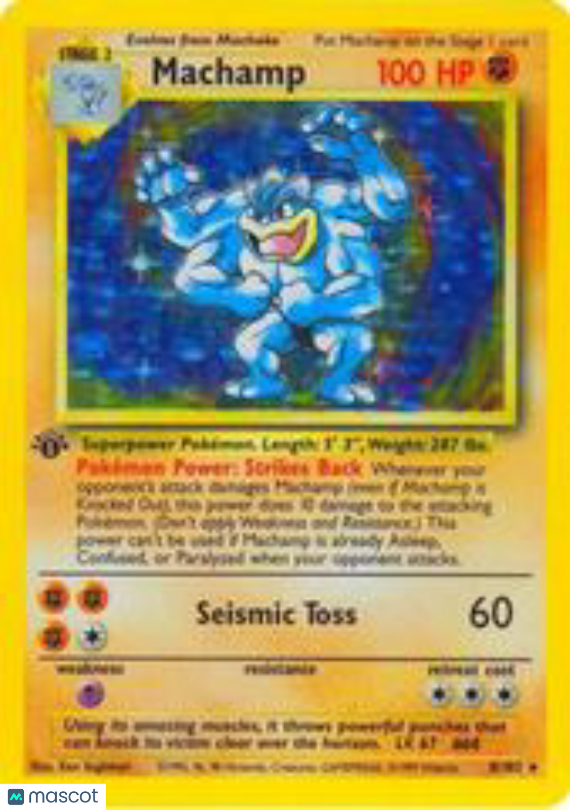 PokéNOLA Collectibles 