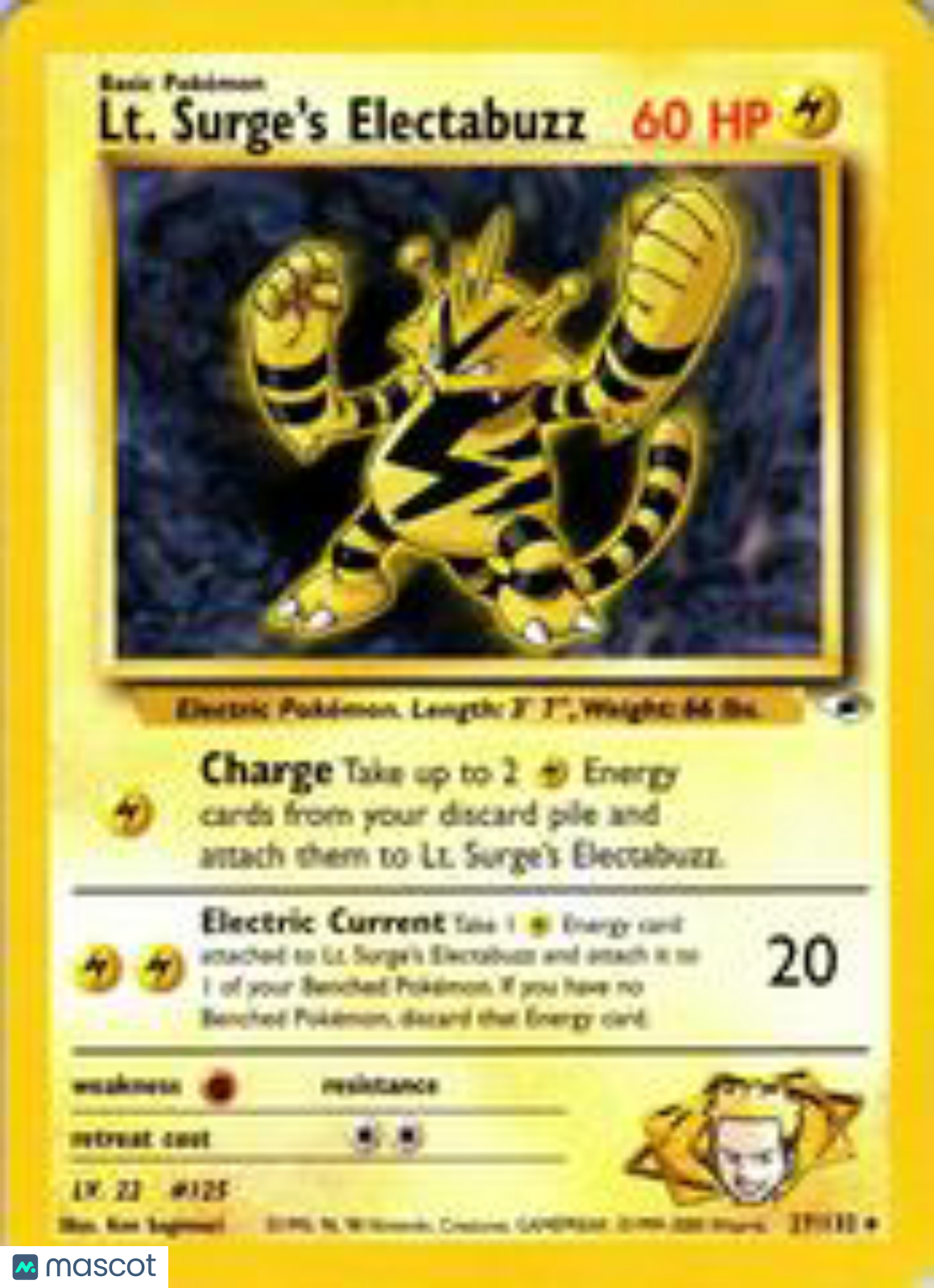 PokéNOLA Collectibles 