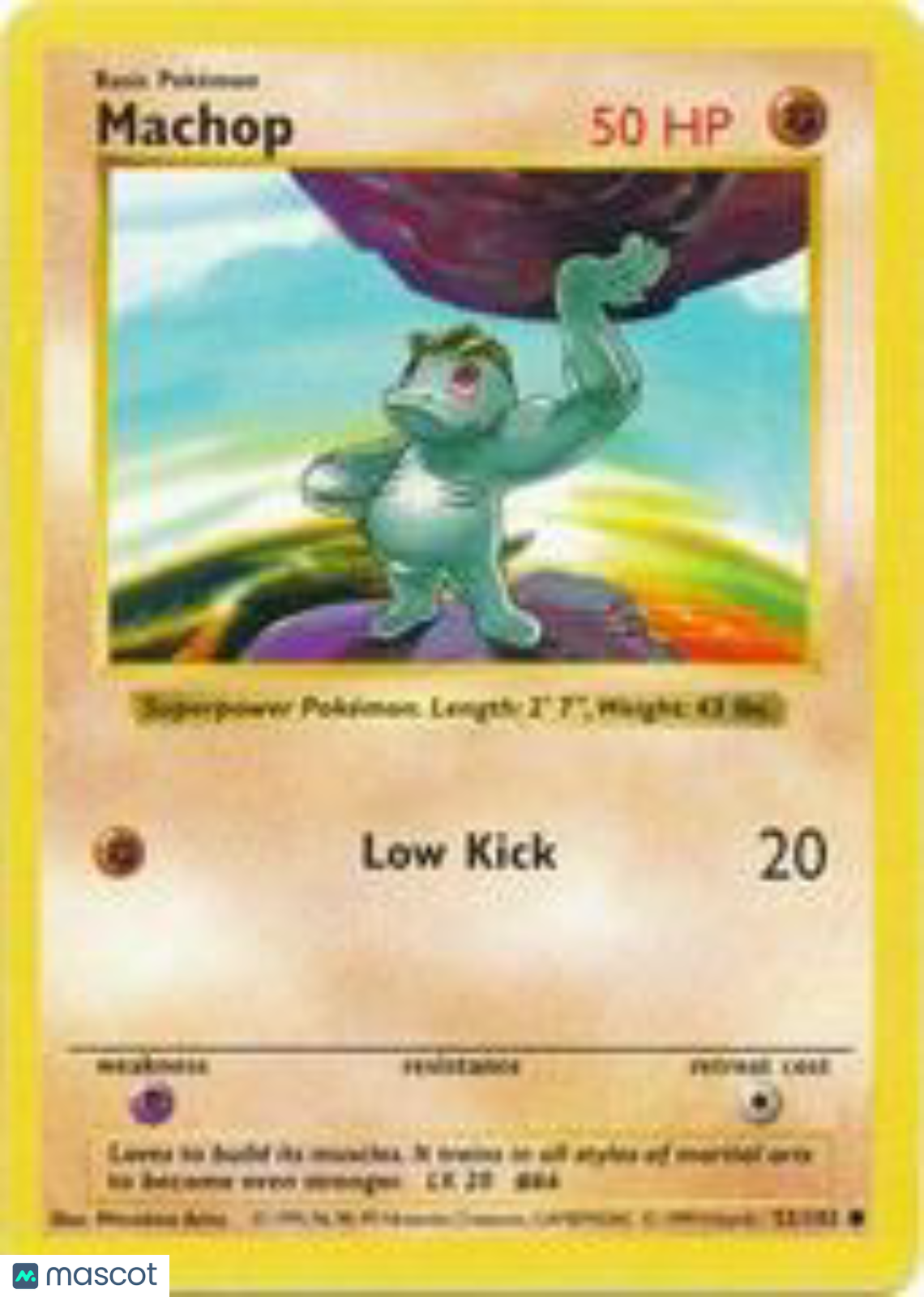 PokéNOLA Collectibles 