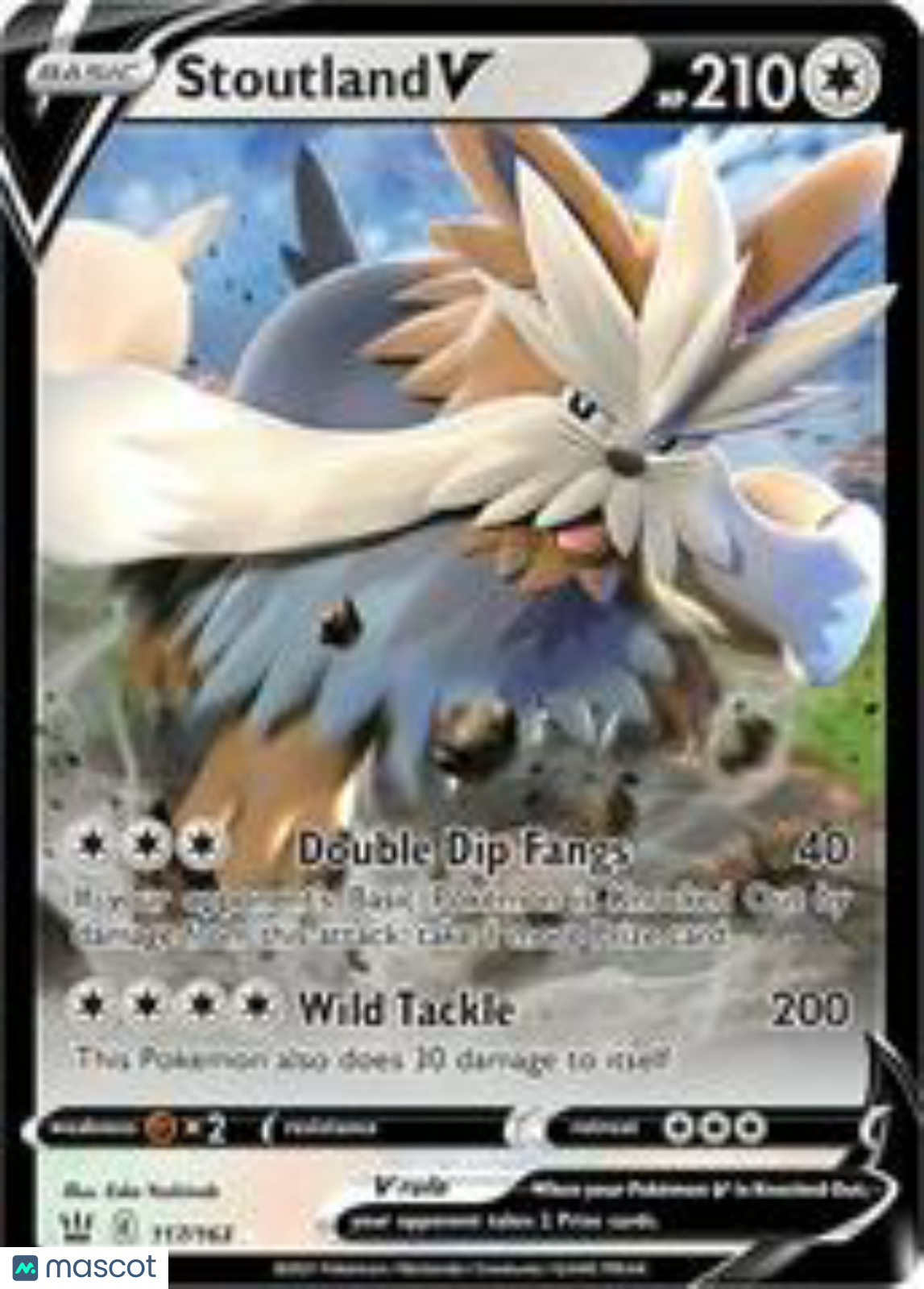 PokéNOLA Collectibles 