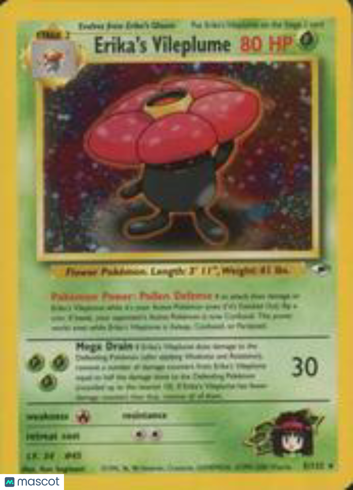 PokéNOLA Collectibles 