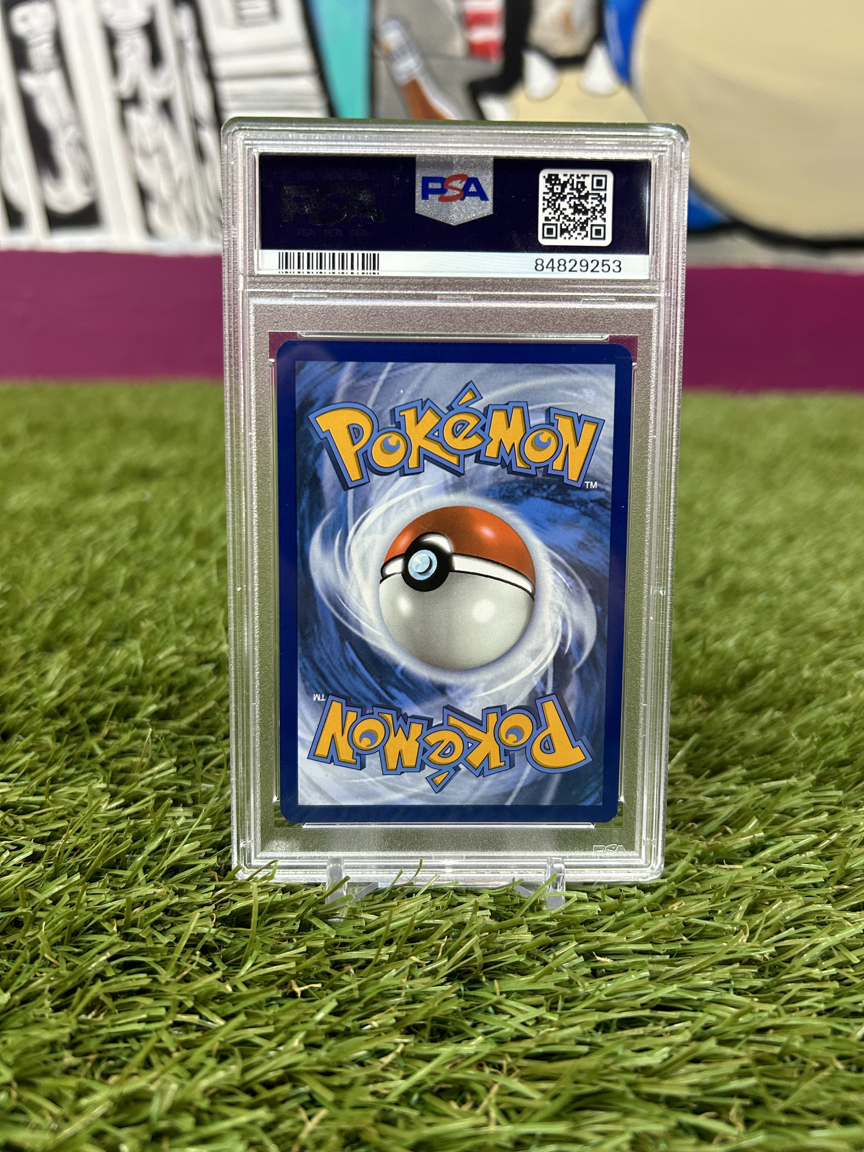 PokéNOLA Collectibles 