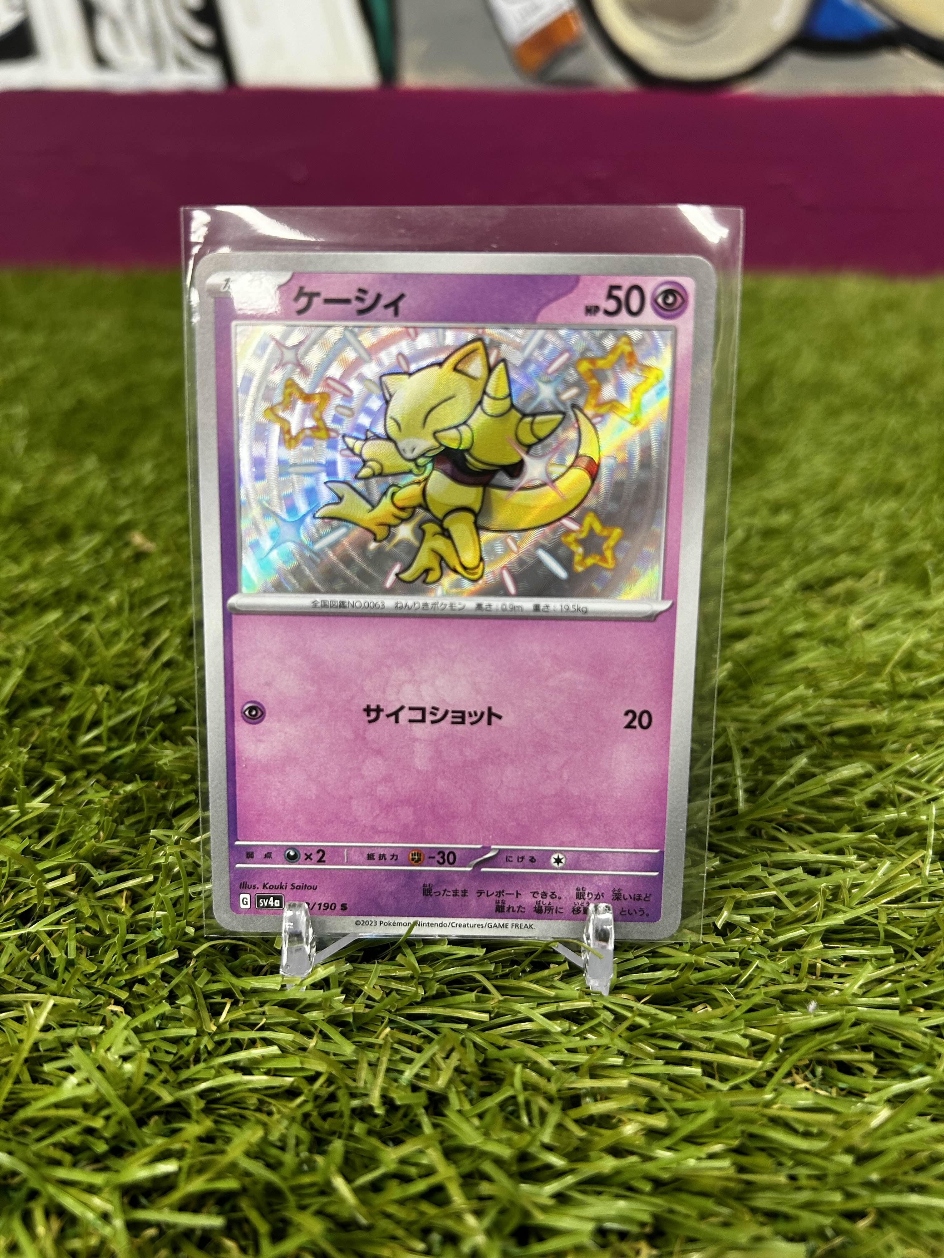 PokéNOLA Collectibles 