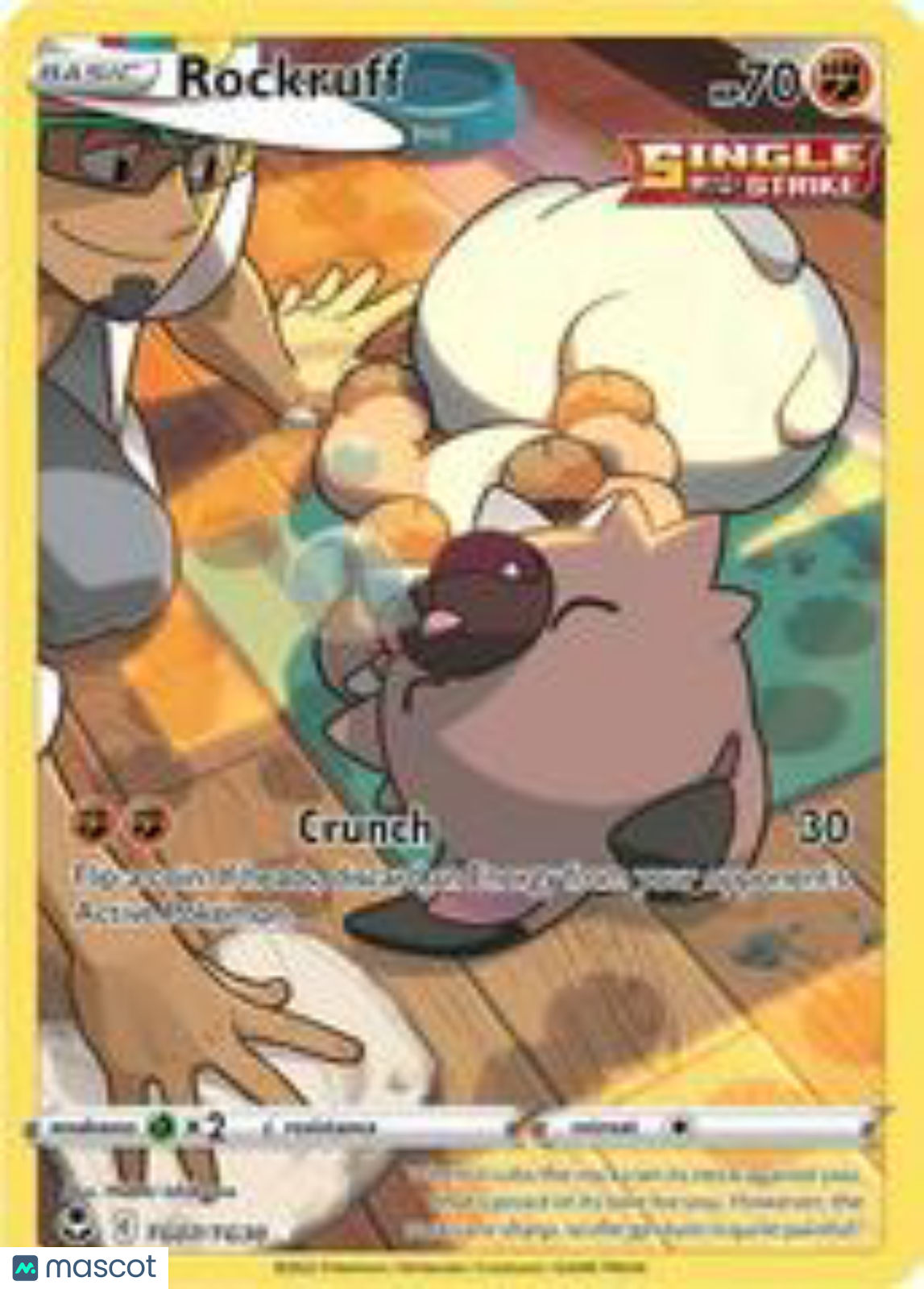 PokéNOLA Collectibles 