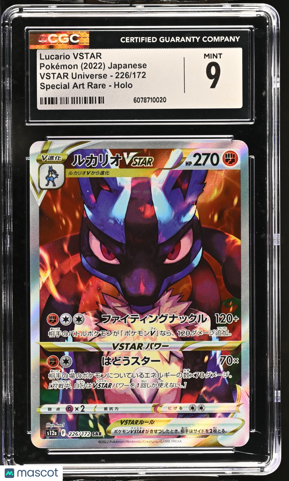 PokéNOLA Collectibles 