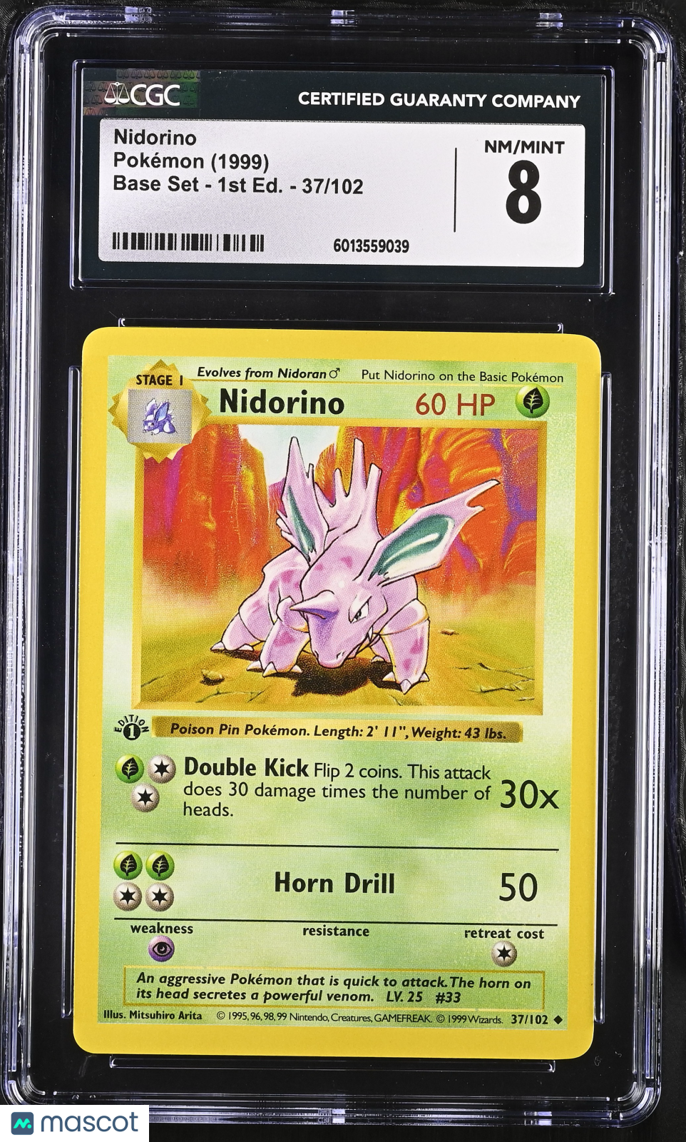 PokéNOLA Collectibles 