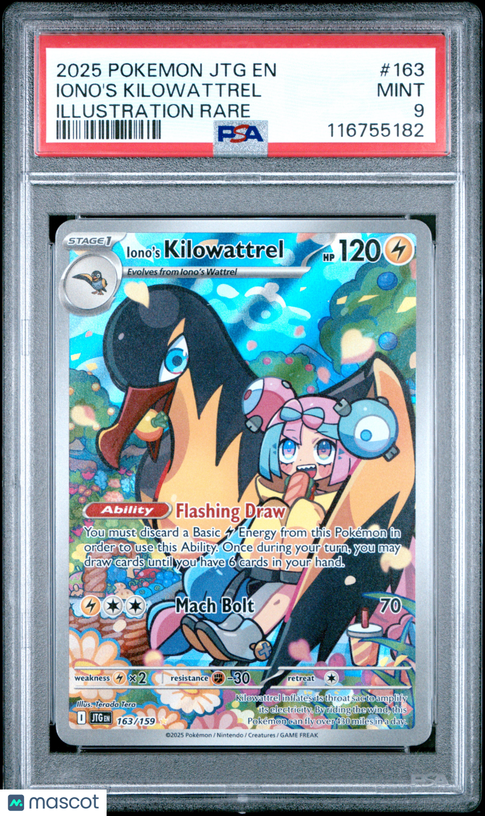 PokéNOLA Collectibles 
