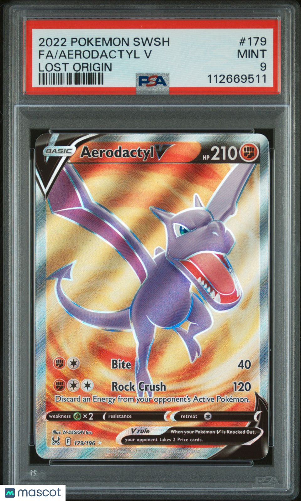 PokéNOLA Collectibles 