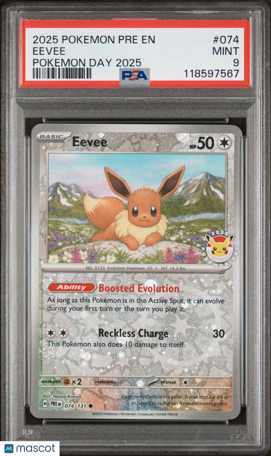 PokéNOLA Collectibles 