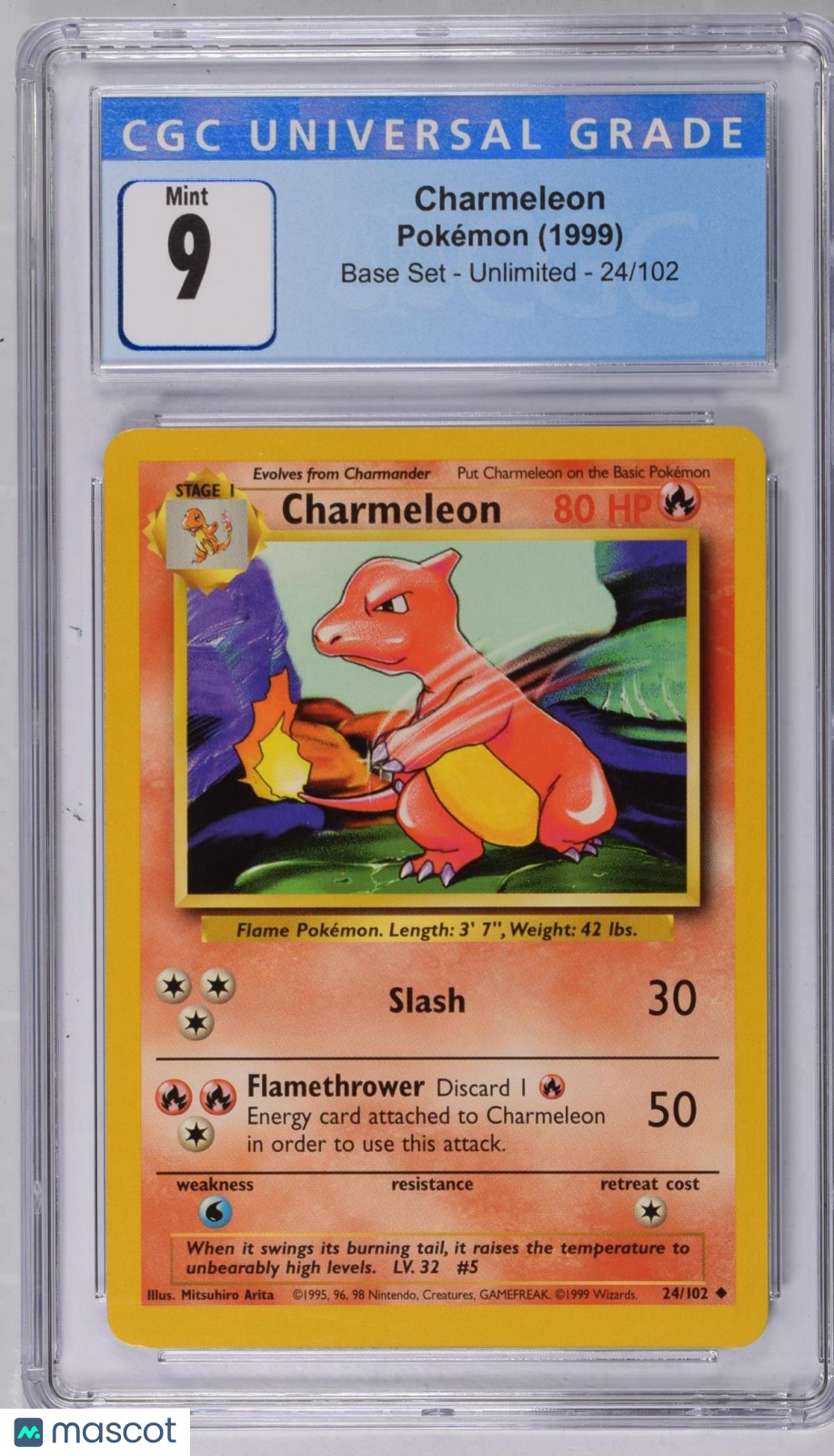 PokéNOLA Collectibles 