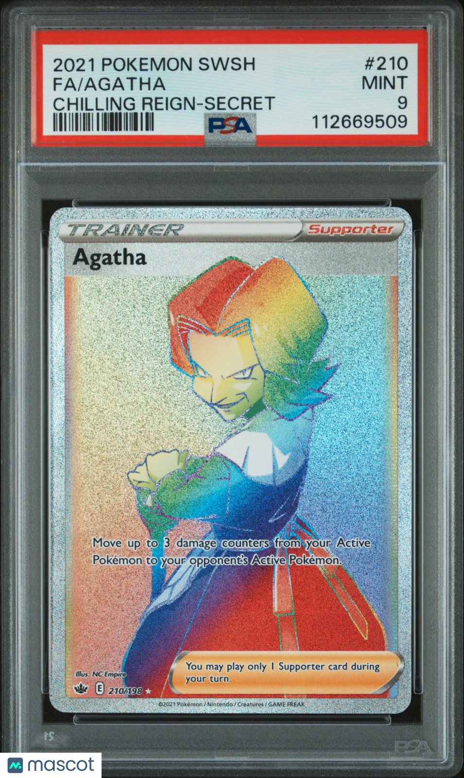 PokéNOLA Collectibles 