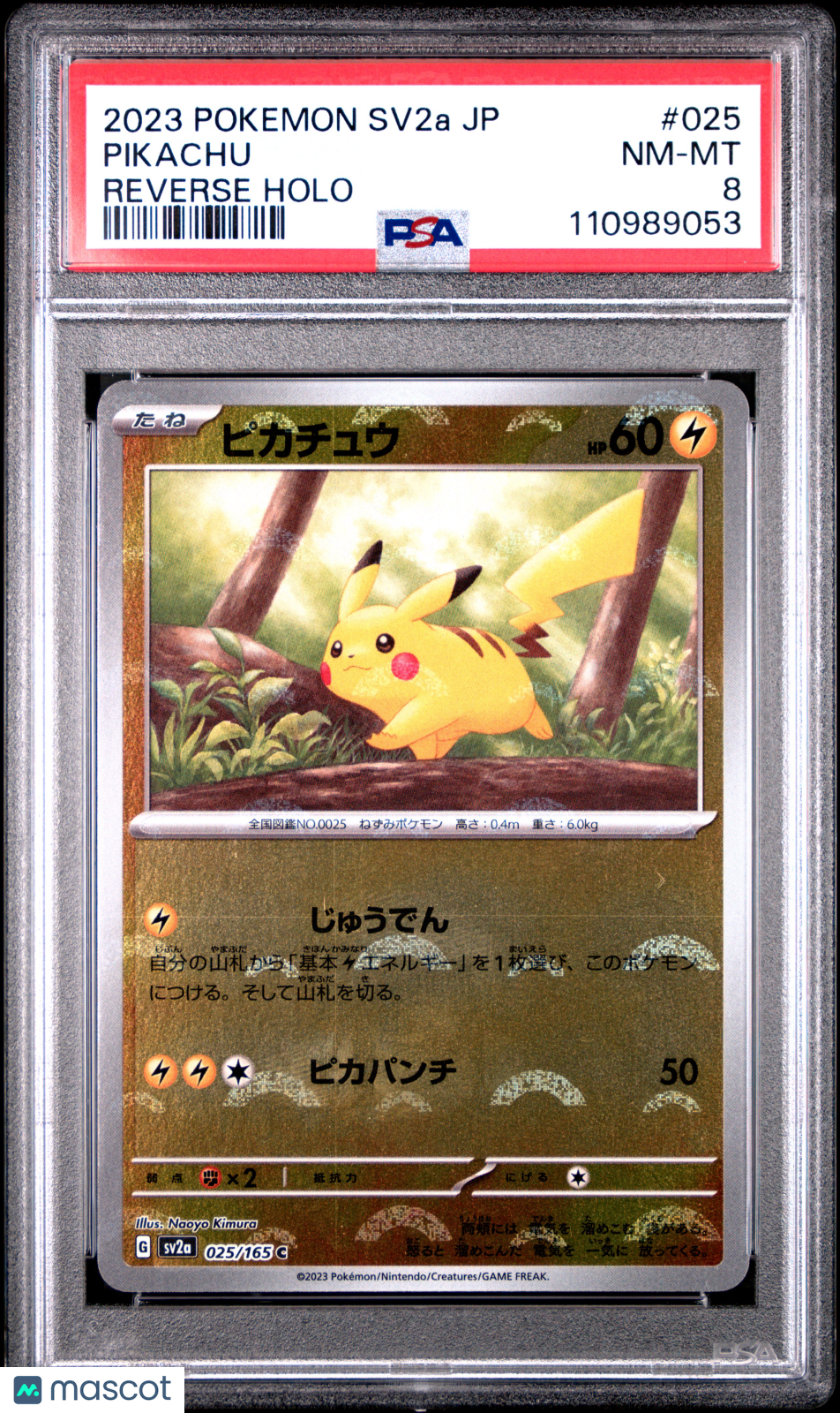 PokéNOLA Collectibles 