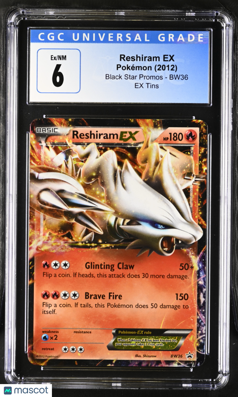 PokéNOLA Collectibles 