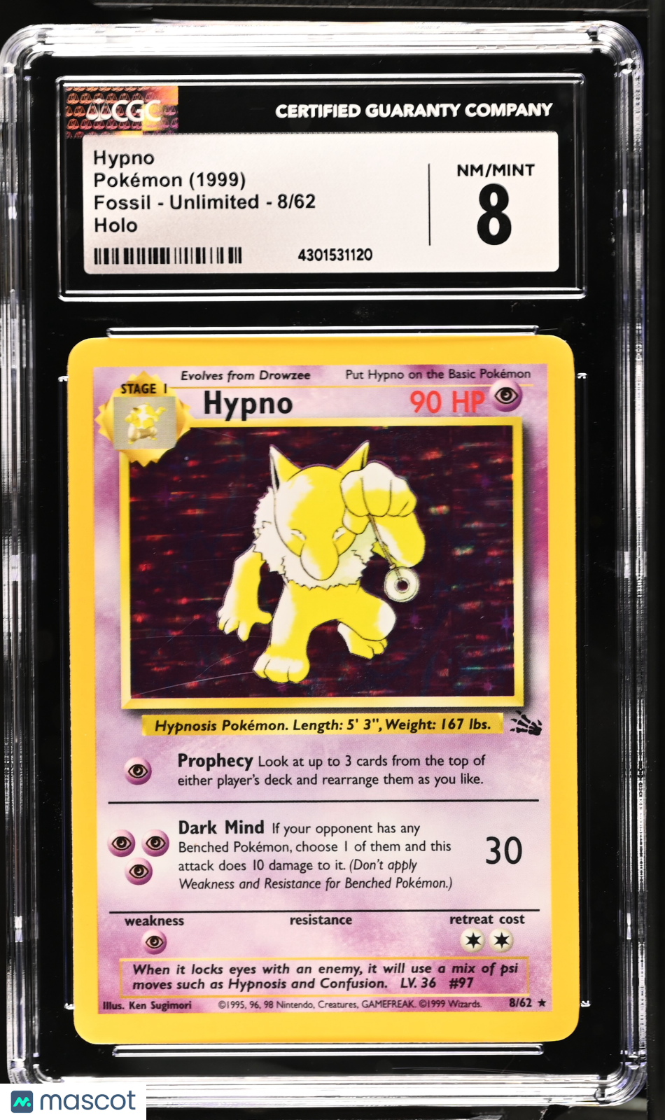 PokéNOLA Collectibles 