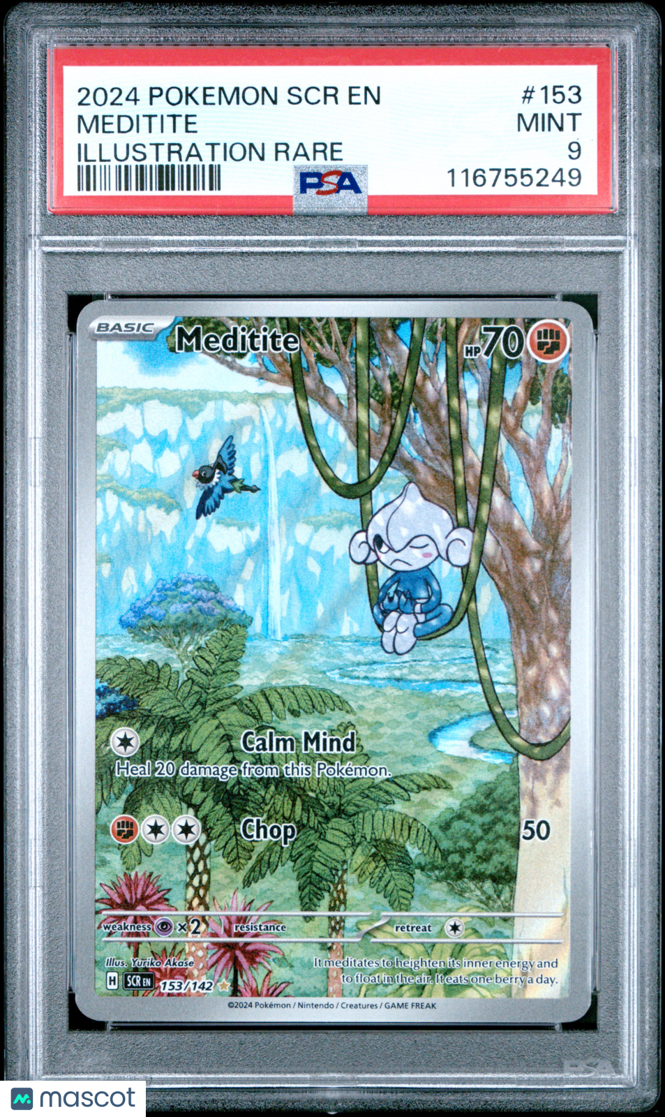 PokéNOLA Collectibles 