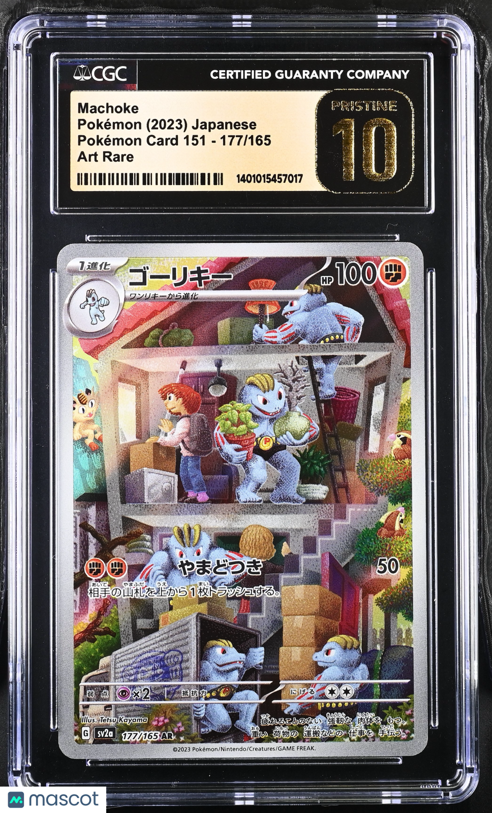 PokéNOLA Collectibles 