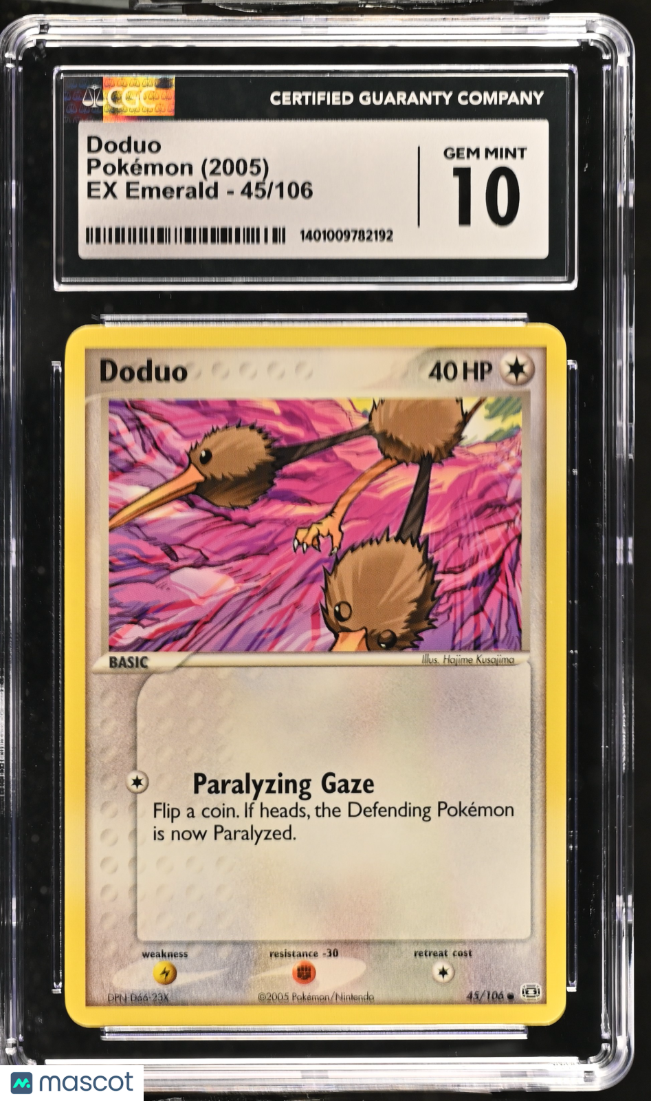 PokéNOLA Collectibles 
