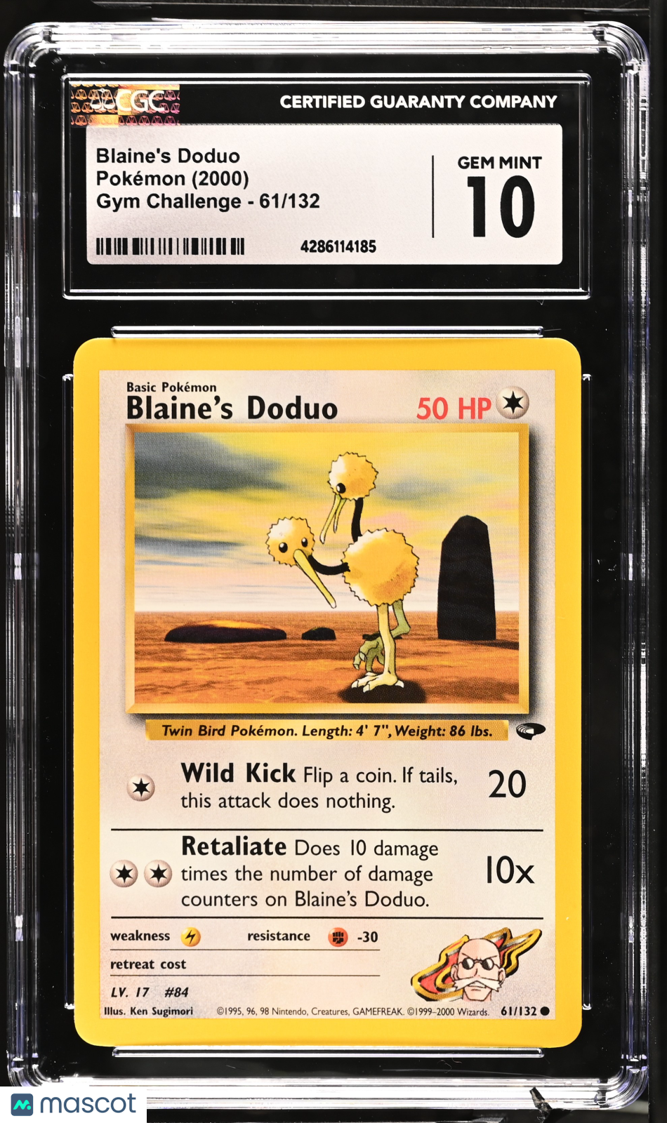 PokéNOLA Collectibles 