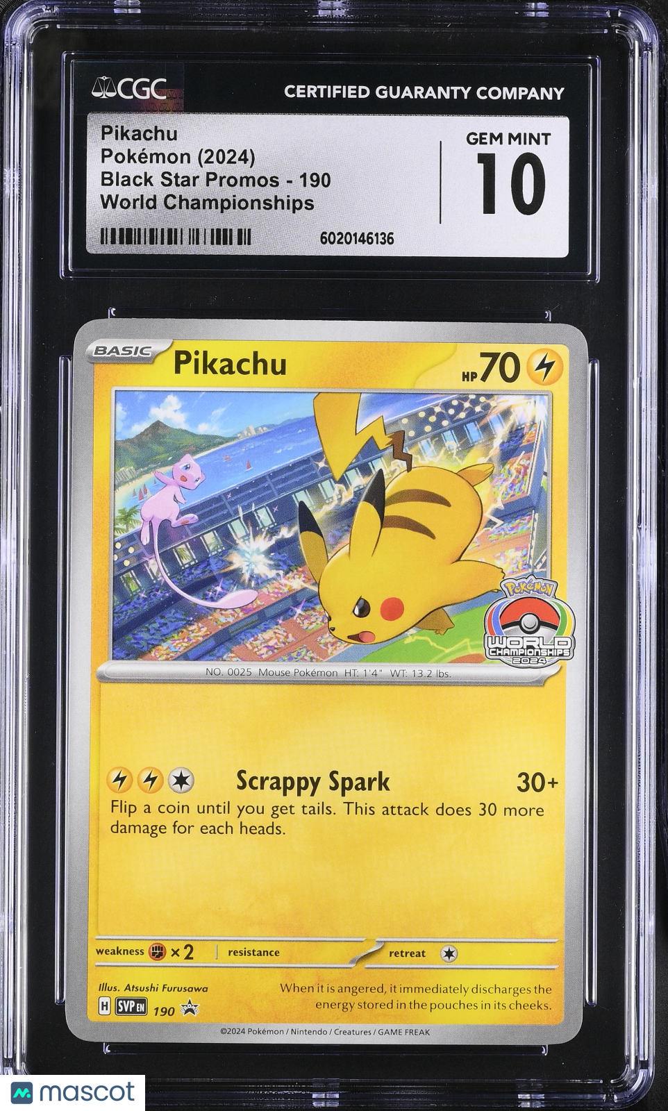 PokéNOLA Collectibles 