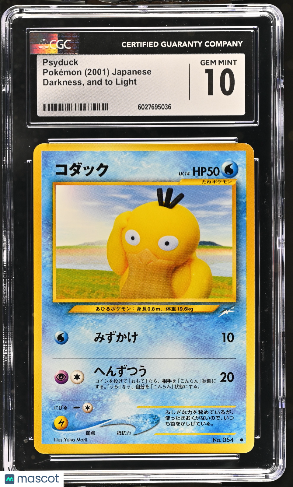 PokéNOLA Collectibles 