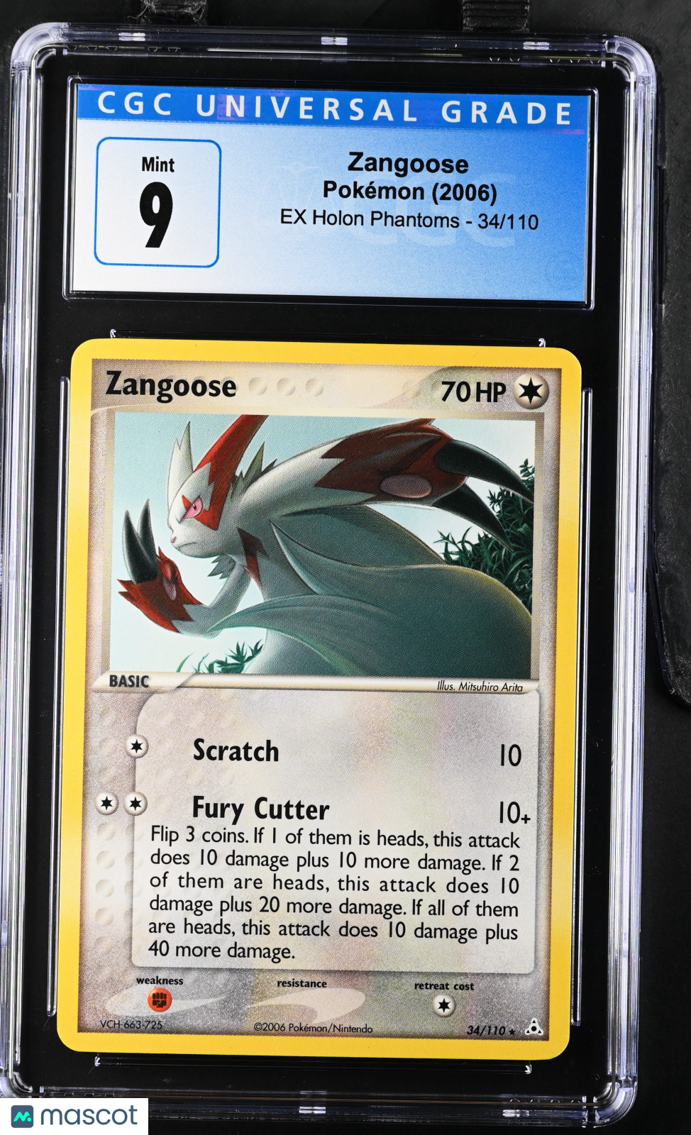 PokéNOLA Collectibles 