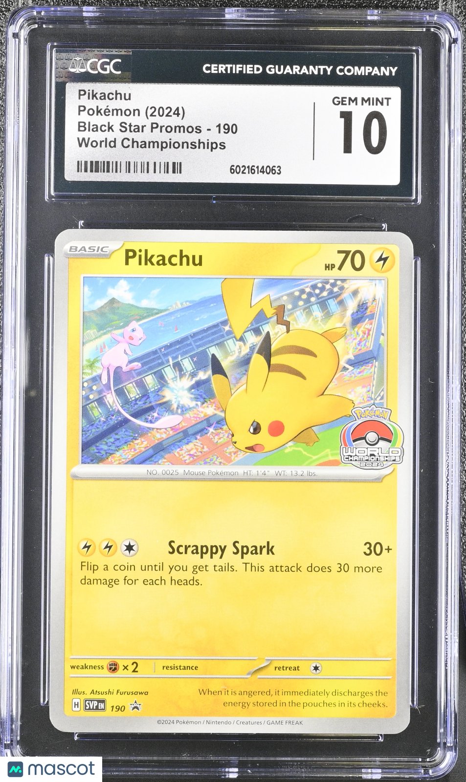 PokéNOLA Collectibles 