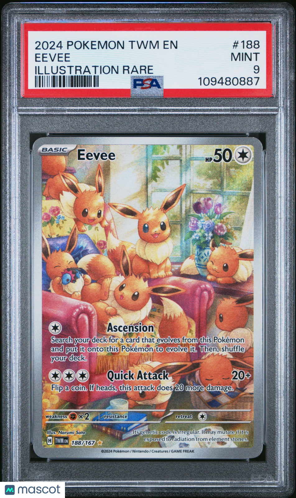 PokéNOLA Collectibles 