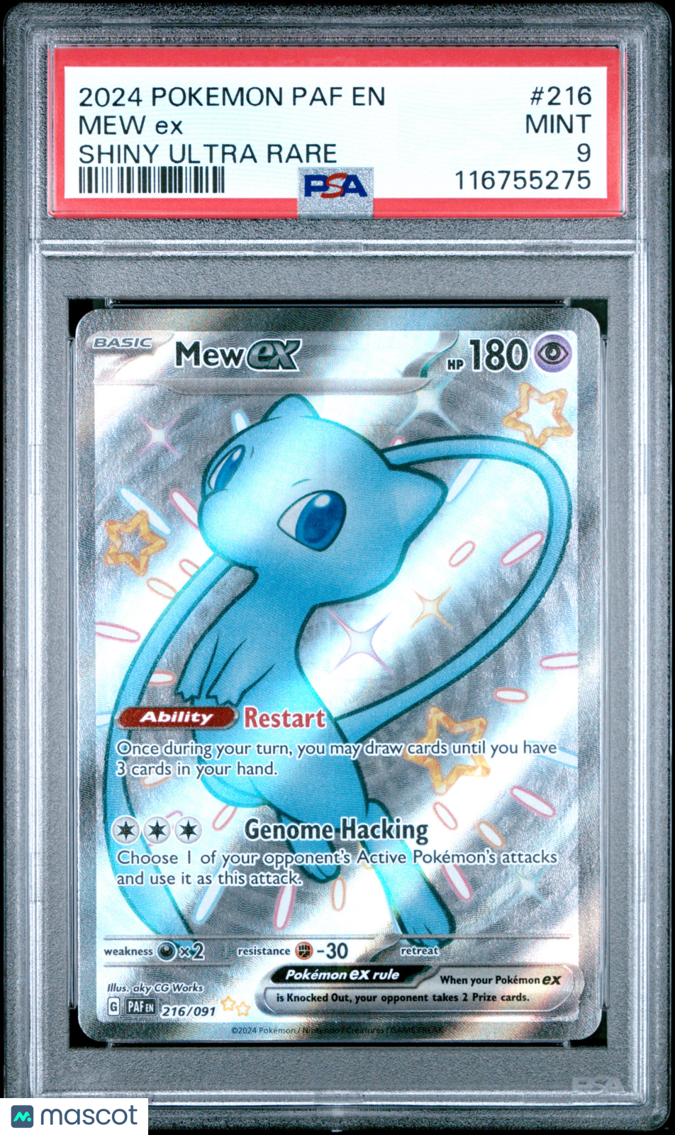 PokéNOLA Collectibles 