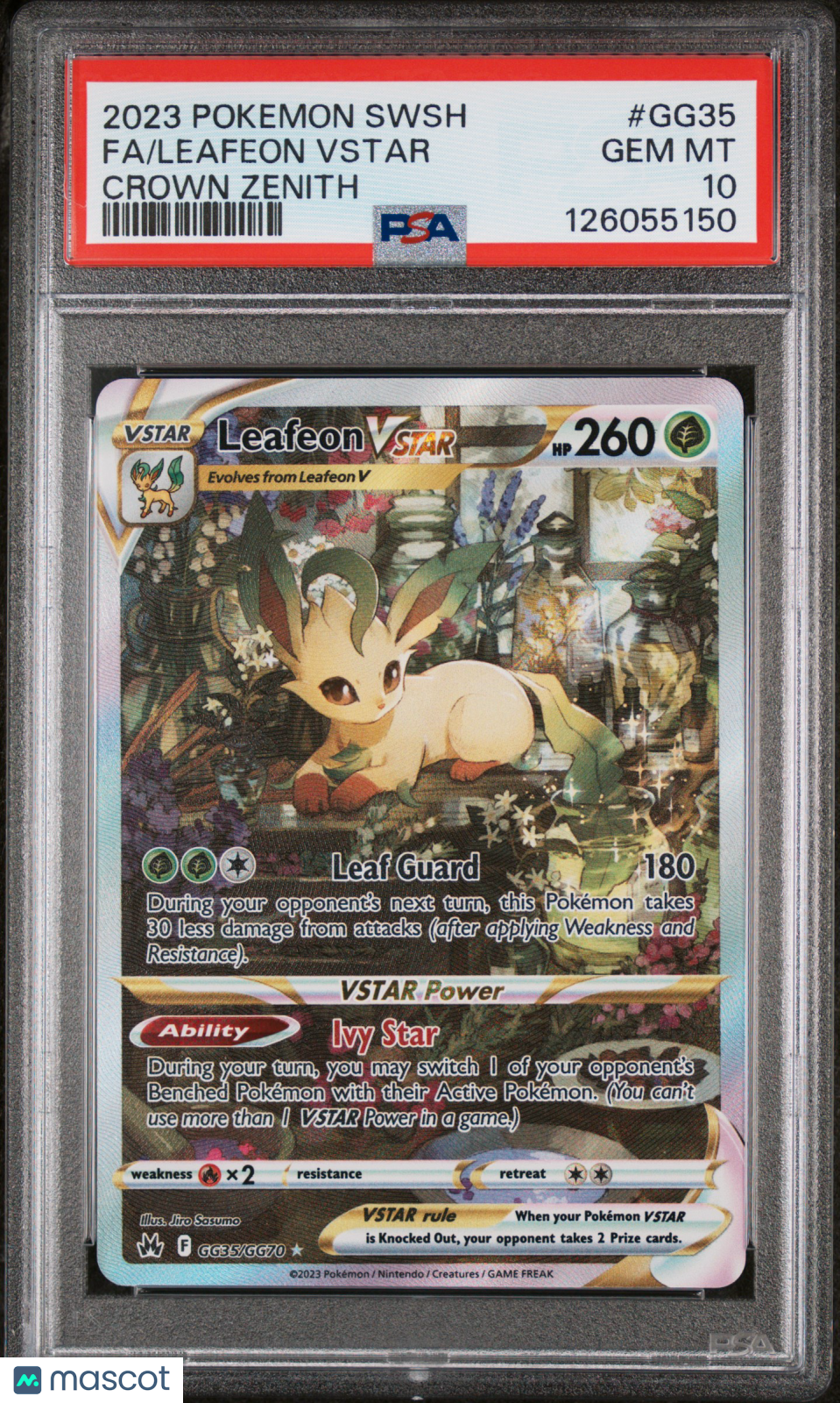 PokéNOLA Collectibles 