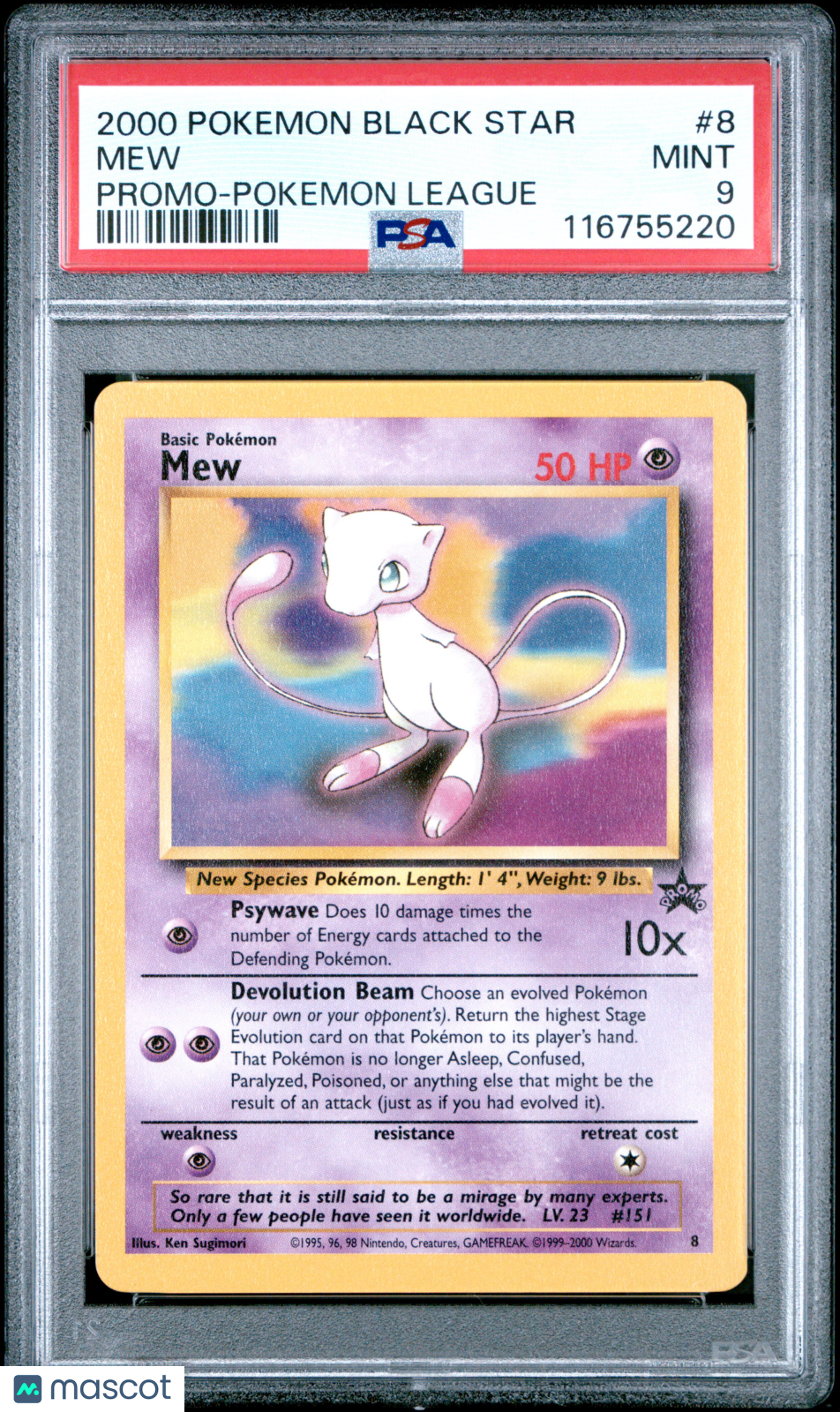 PokéNOLA Collectibles 