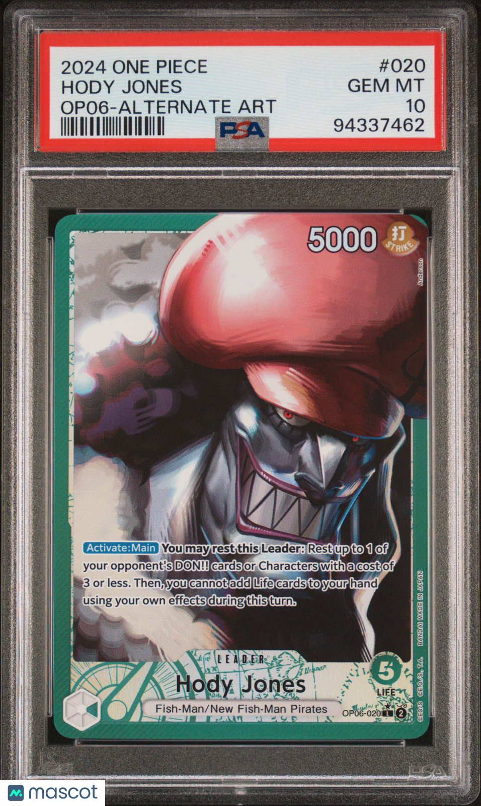 PokéNOLA Collectibles 