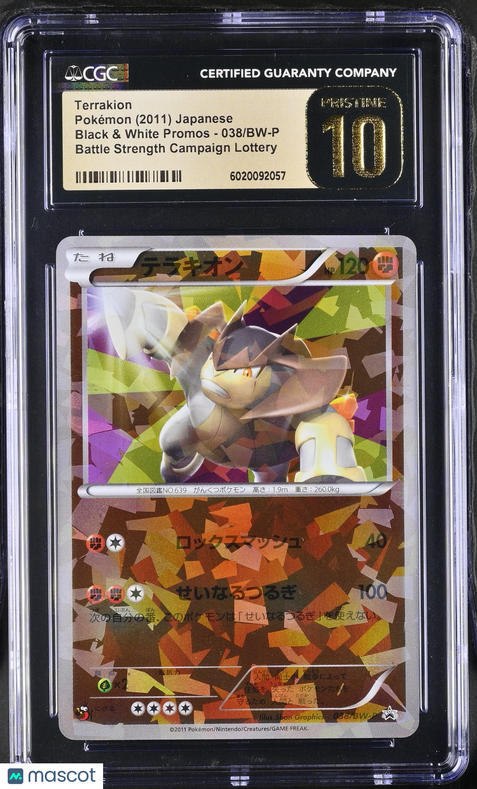 PokéNOLA Collectibles 