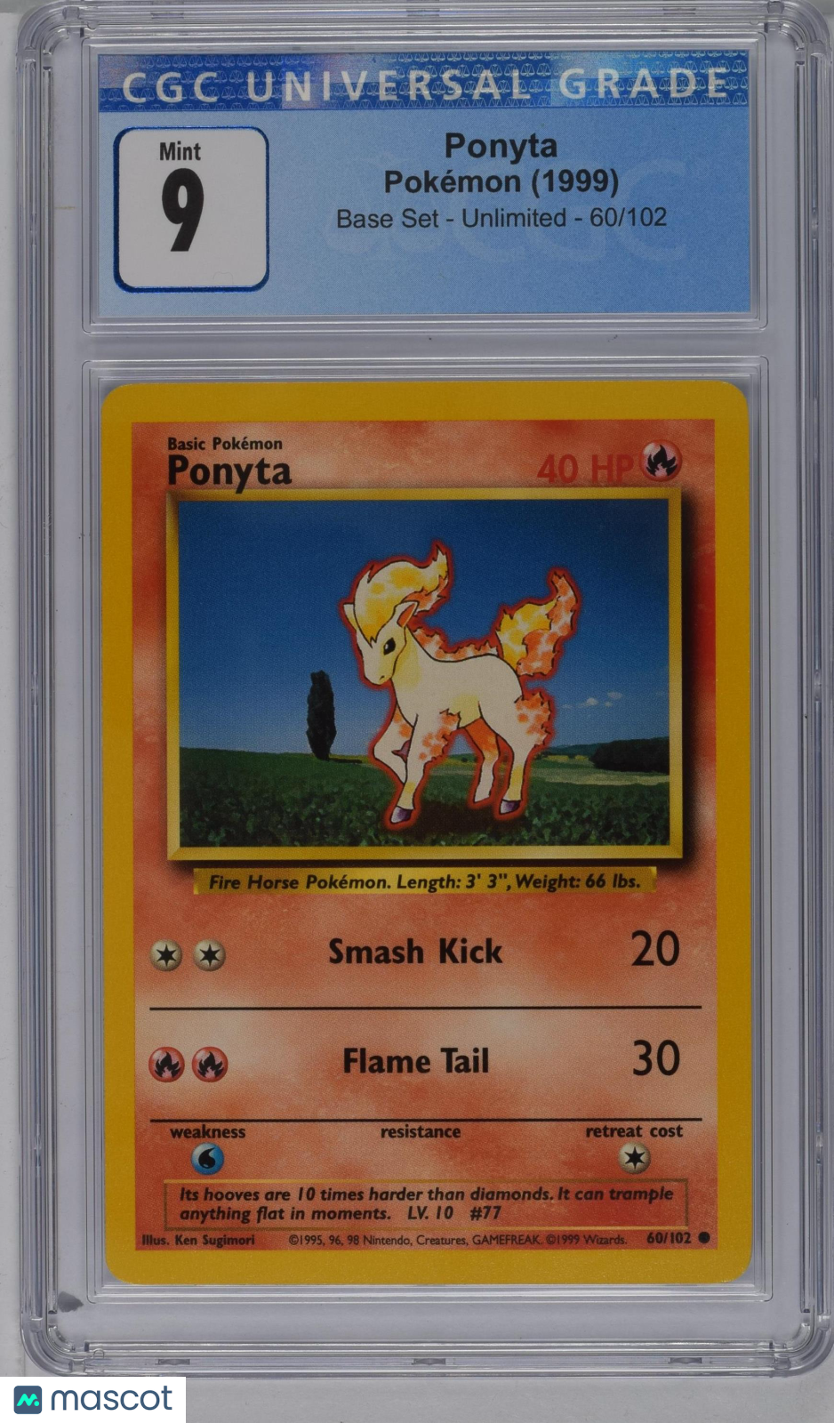 PokéNOLA Collectibles 