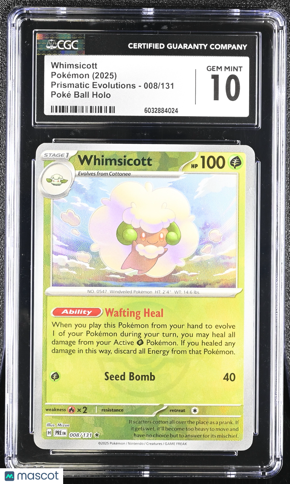 PokéNOLA Collectibles 