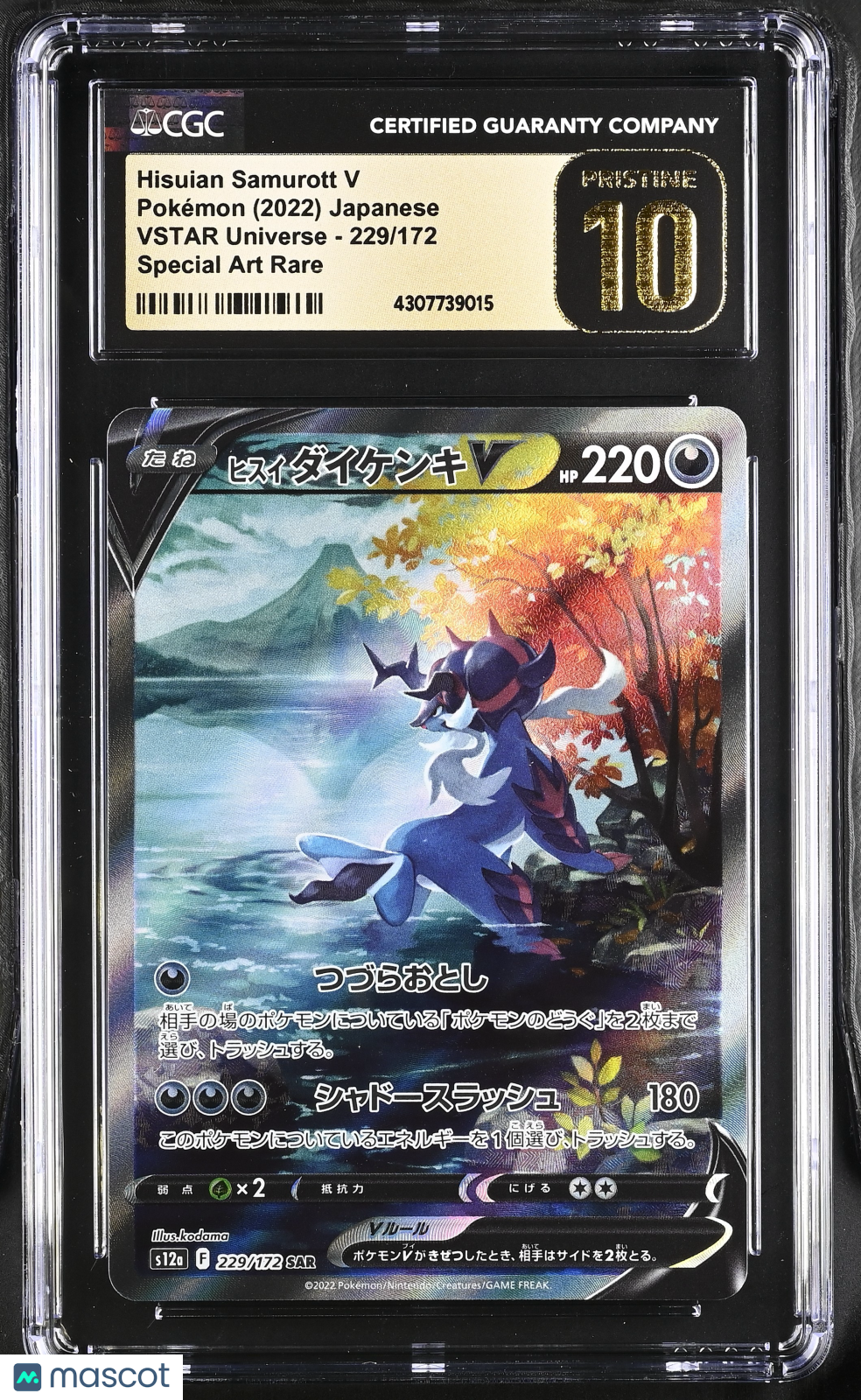 PokéNOLA Collectibles 