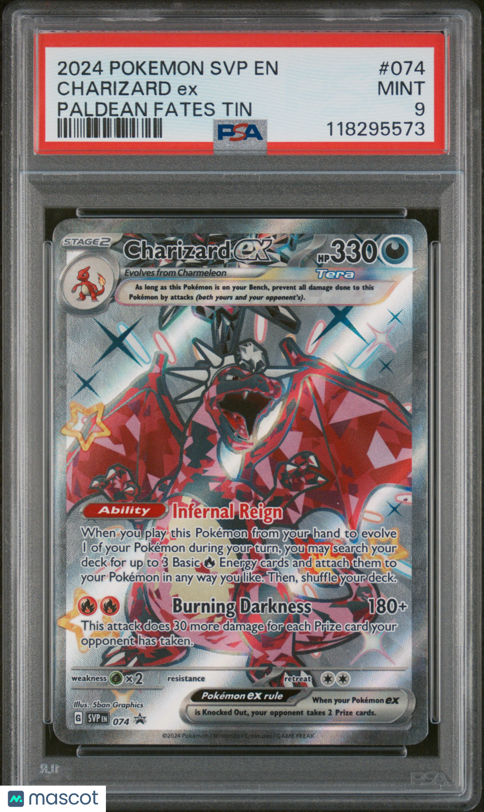 PokéNOLA Collectibles 