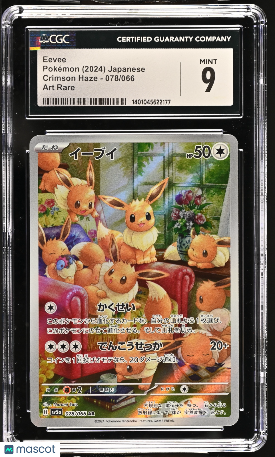 PokéNOLA Collectibles 