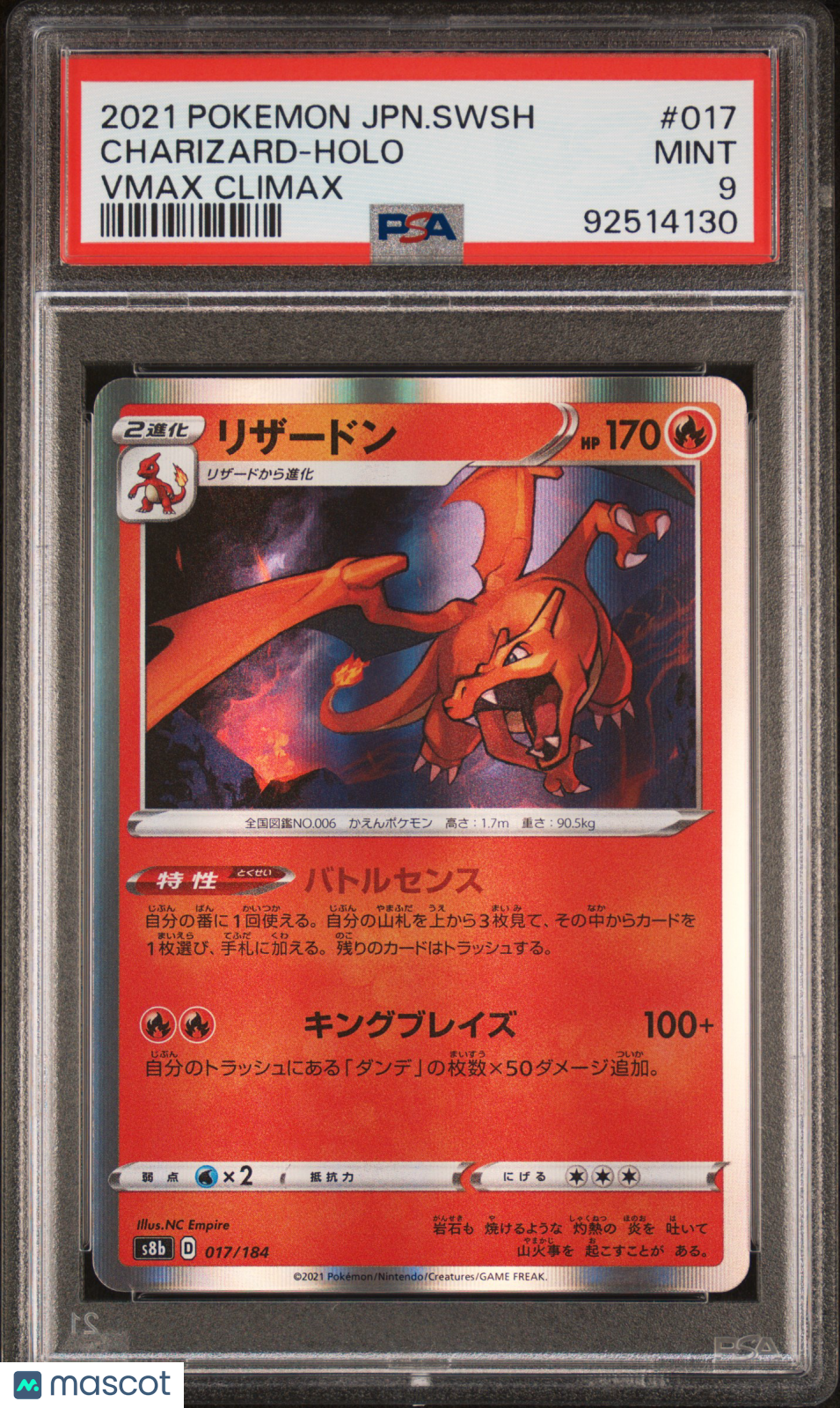 PokéNOLA Collectibles 