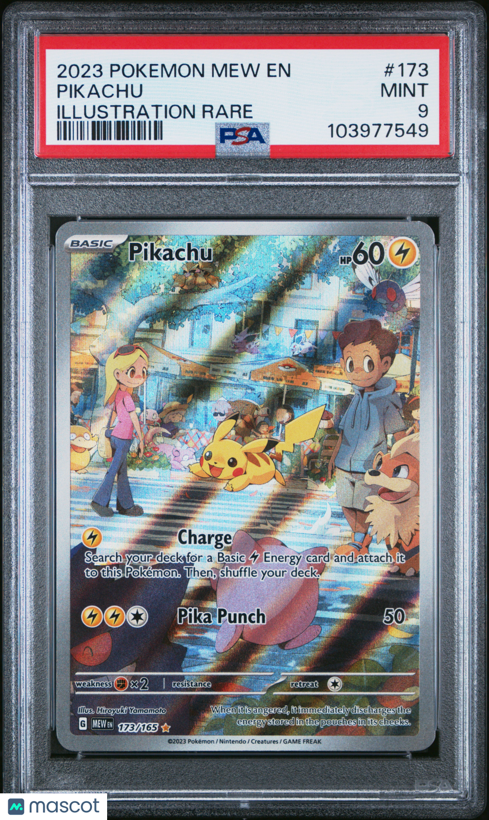PokéNOLA Collectibles 