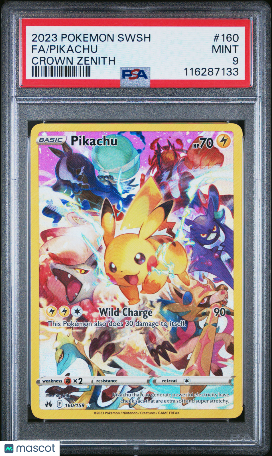 PokéNOLA Collectibles 