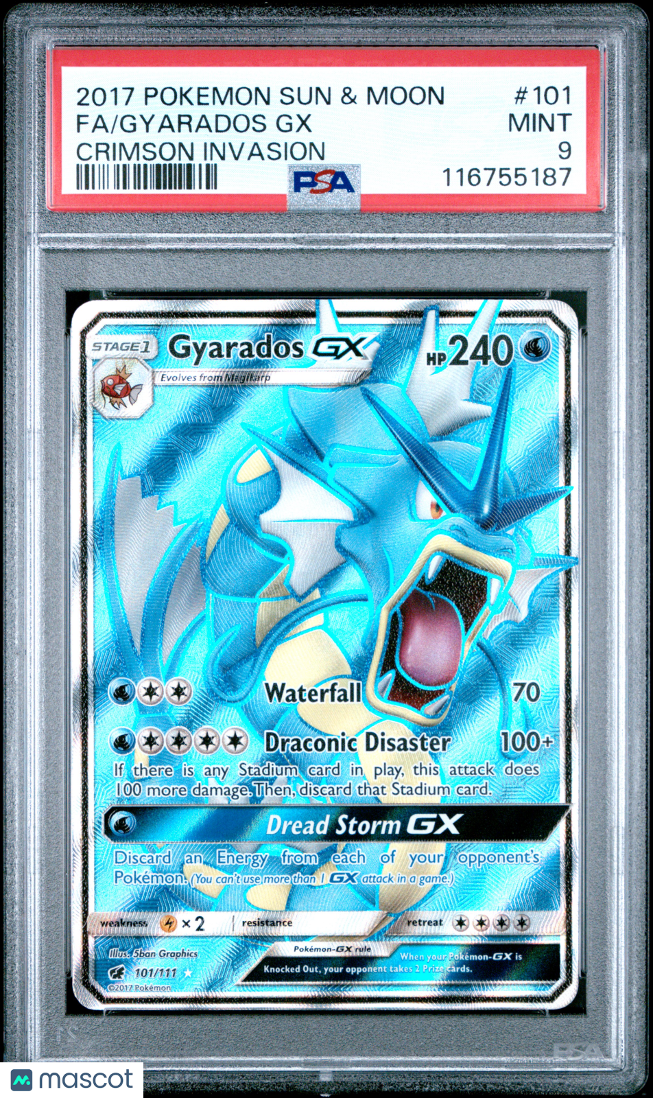 PokéNOLA Collectibles 