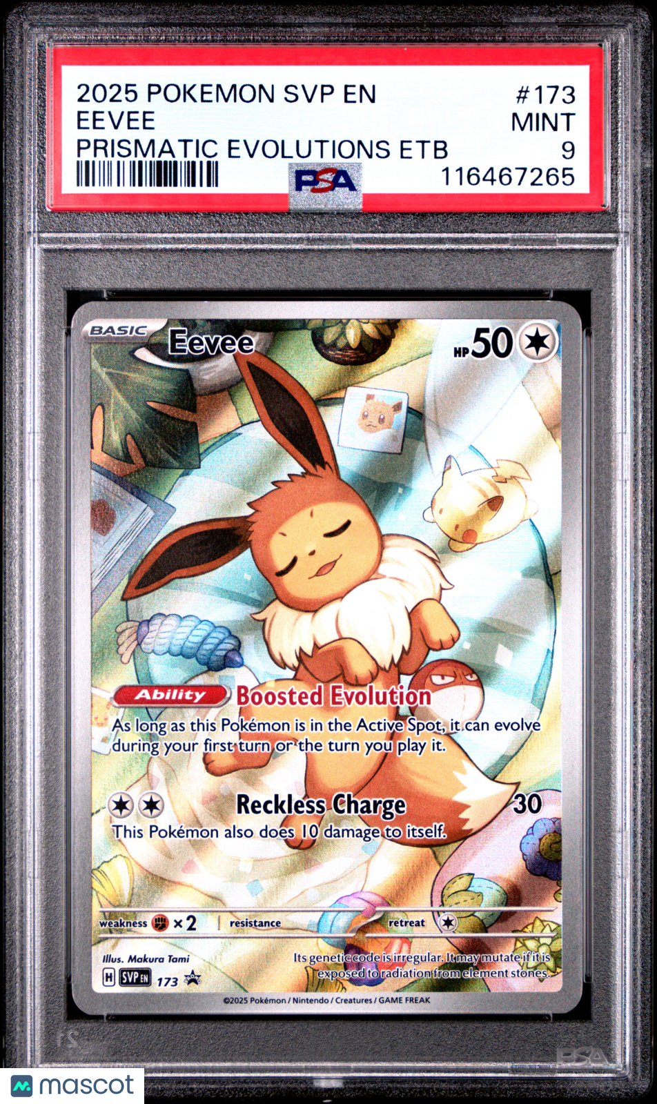 PokéNOLA Collectibles 