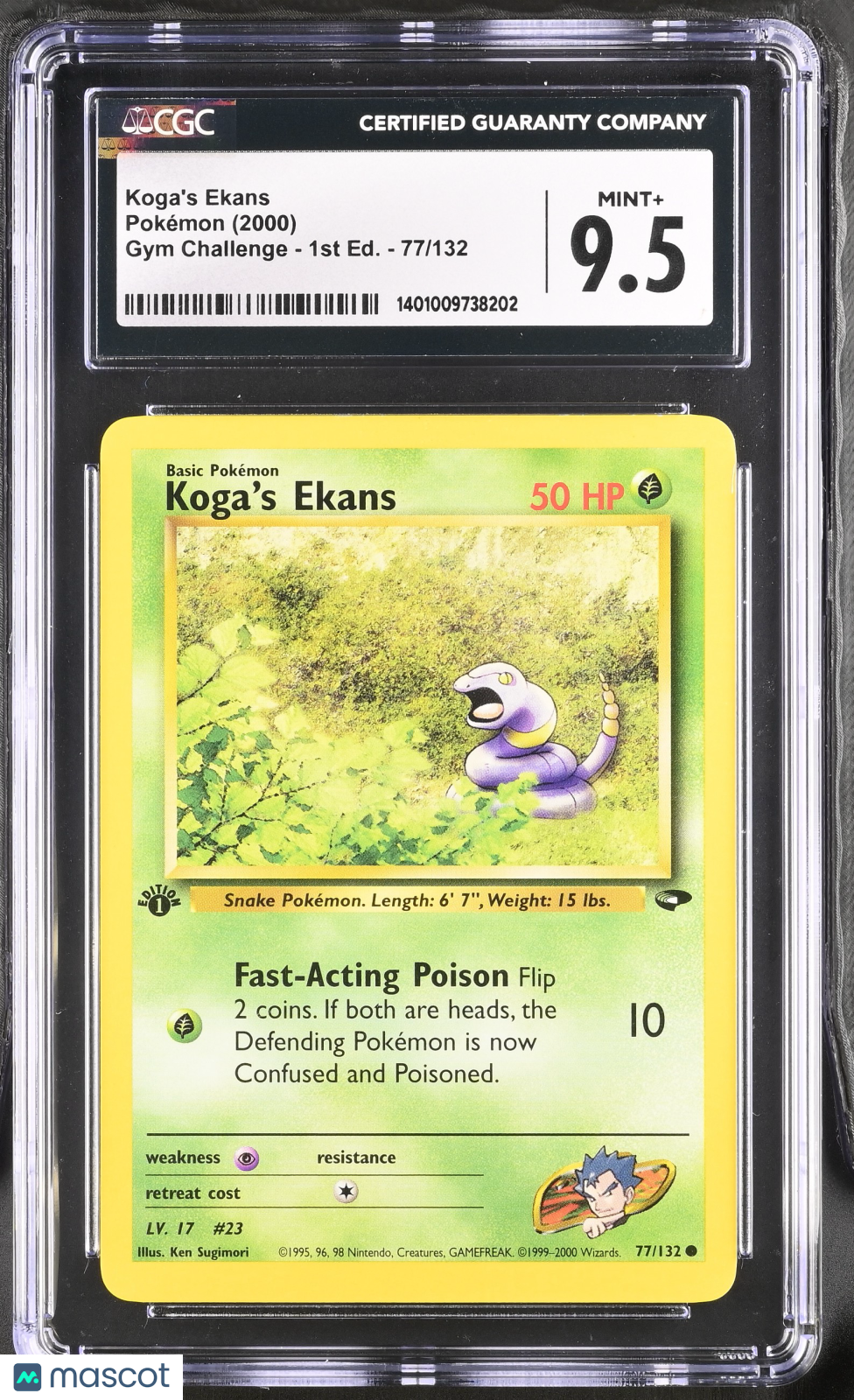 PokéNOLA Collectibles 