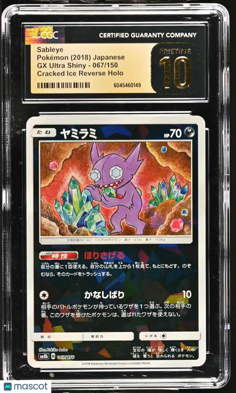 PokéNOLA Collectibles 
