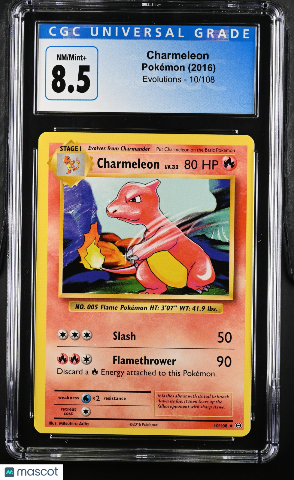 PokéNOLA Collectibles 